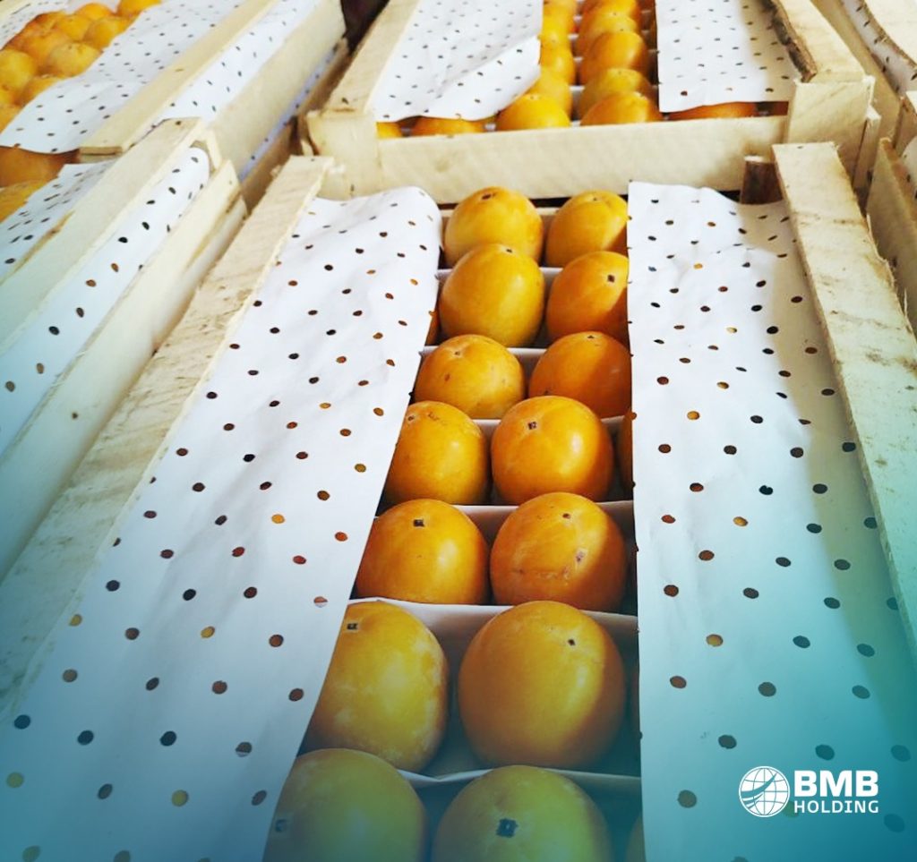 BMB Exports