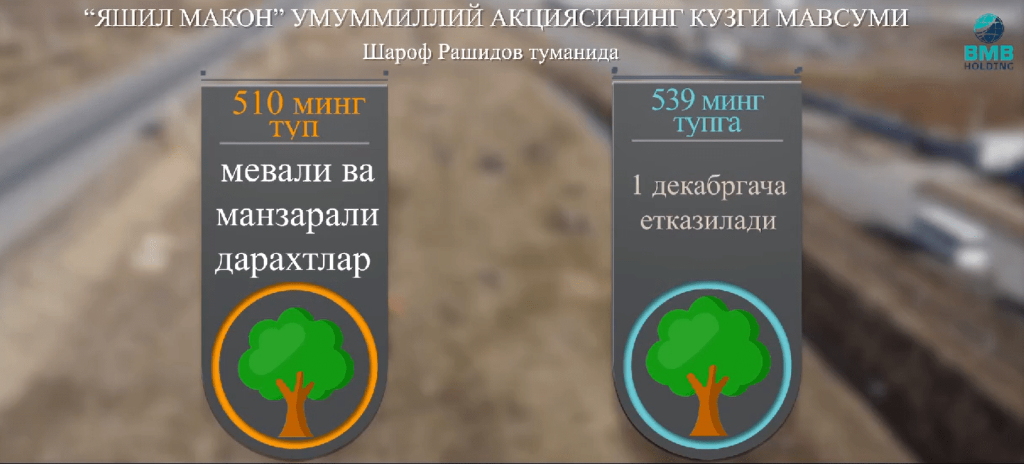 Яшил макон